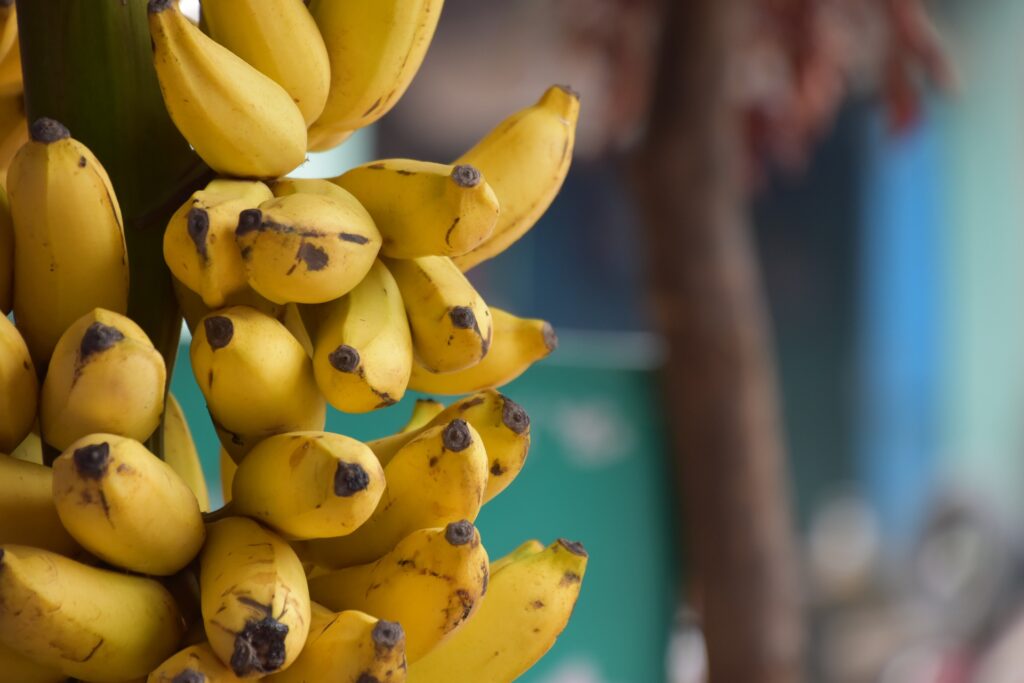 banana smoothie