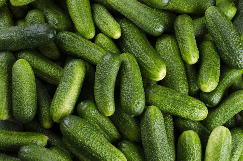 Cucumber Smoothie