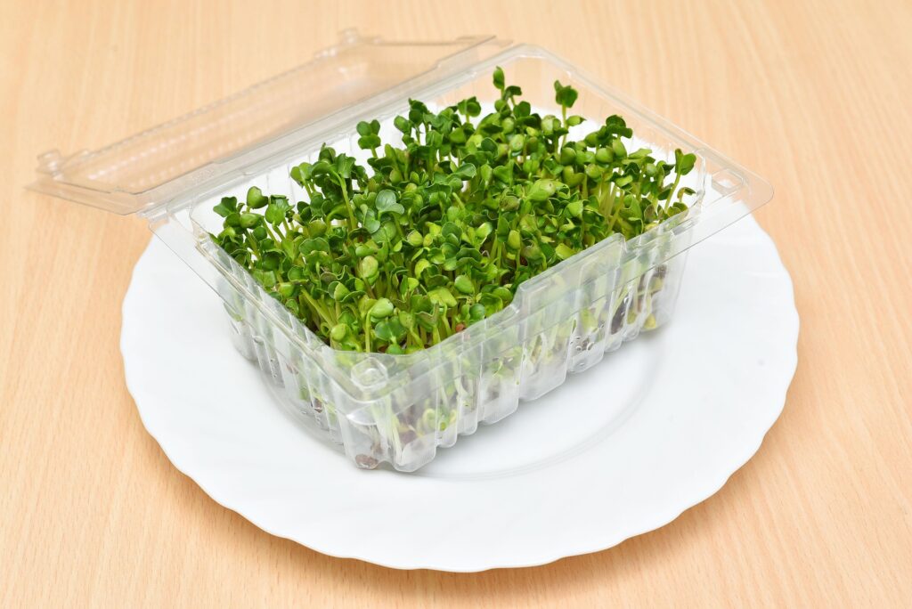 Sprouted Chia Seeds