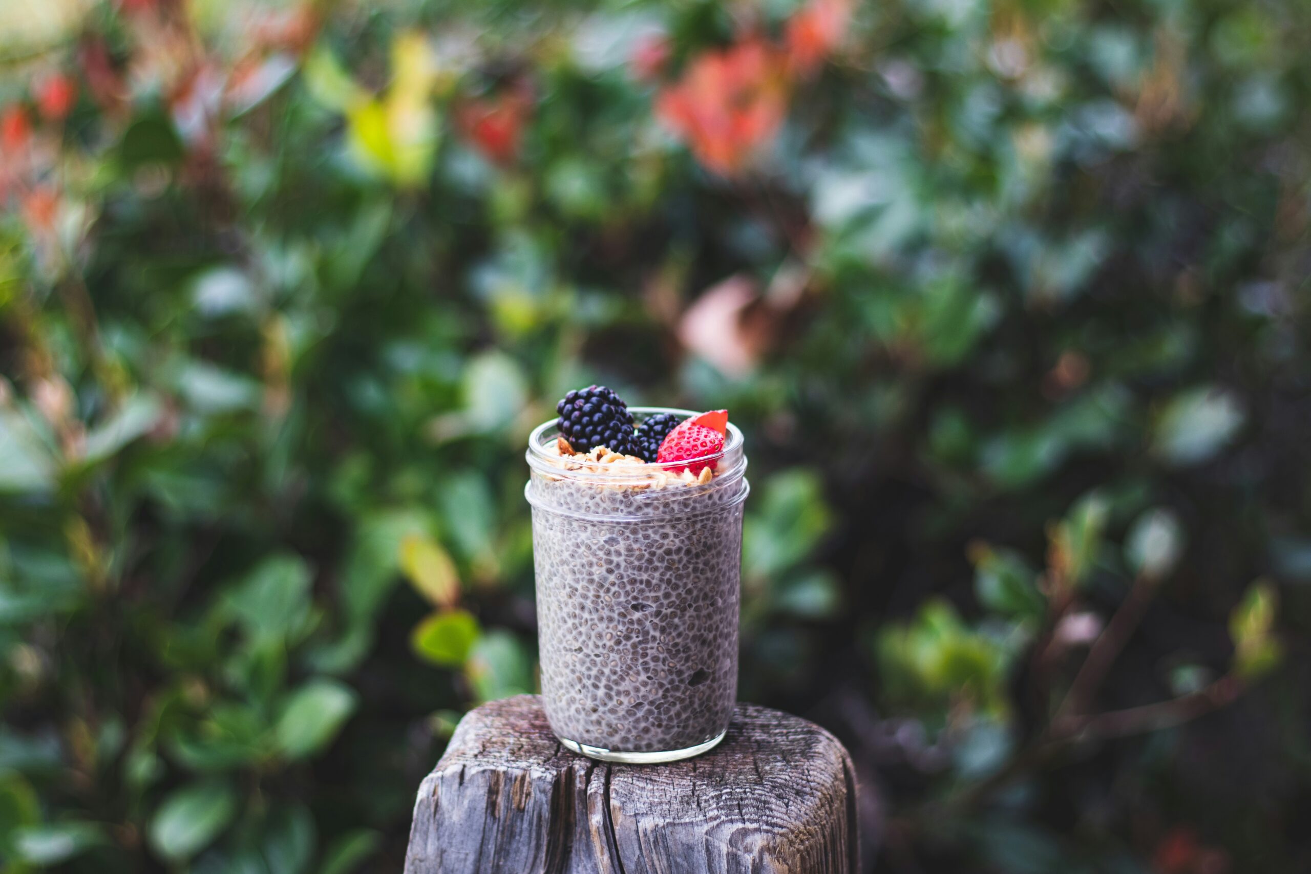 Chia Seed Peanut Butter Pudding